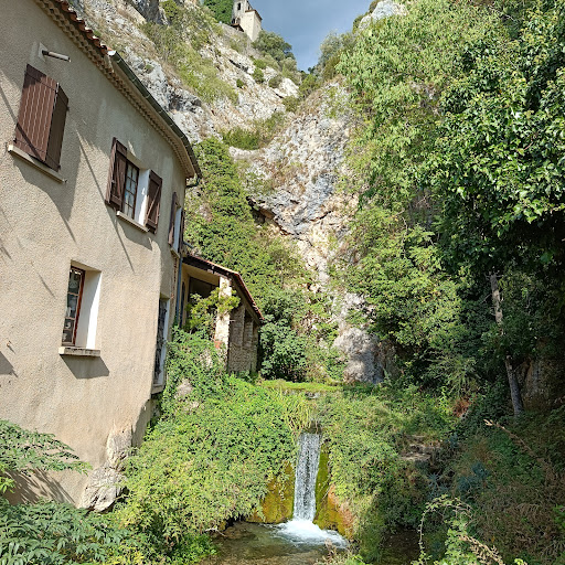 L’Etoile Givrée - Artisan Glacier Fabricant · Photos 19